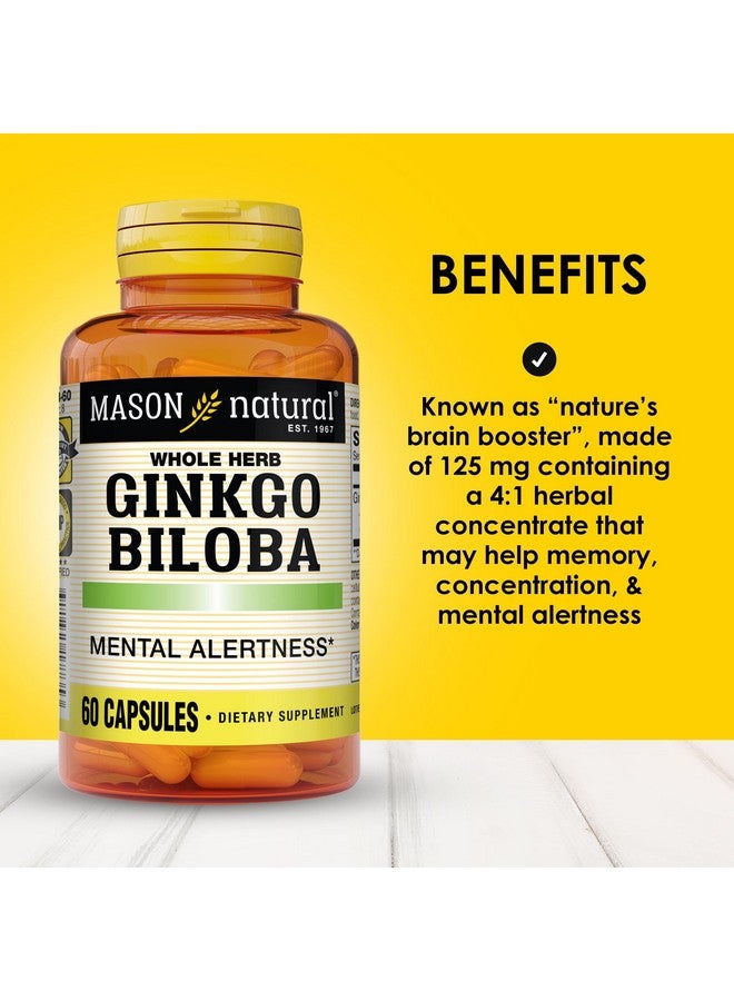 Mason Natural Ginkgo Biloba, 1 Month Supply, Helps to Improve Mental Alertness & Support Optimal Brain Function, 60 Capsules - Image 2