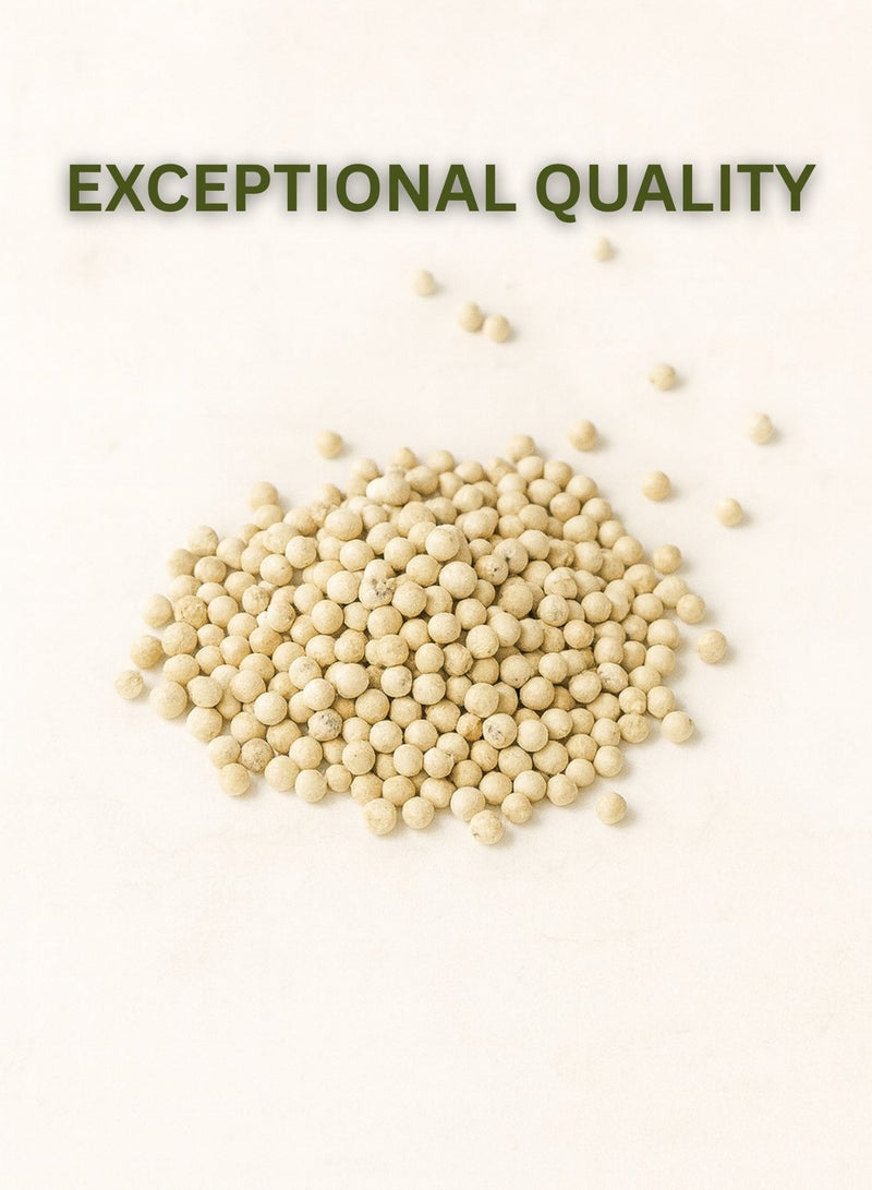 زهر فلفل أبيض فاخر - نقي، مُصنّف يدويًا للاستخدامات العشبية والعطرية | أعشاب طبيعية عالية الجودة - Image 3