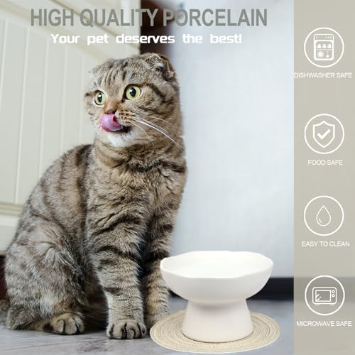 LOVINFURBABY 6.1" Wide 1.57" Deep Elevated Cat Water Bowls, Ceramic Raised Food Plate,Cat Feeder,Anti Vomiting Whisker Fatigue,White - Image 5
