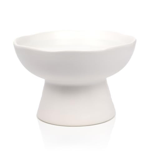 LOVINFURBABY 6.1" Wide 1.57" Deep Elevated Cat Water Bowls, Ceramic Raised Food Plate,Cat Feeder,Anti Vomiting Whisker Fatigue,White - Image 1