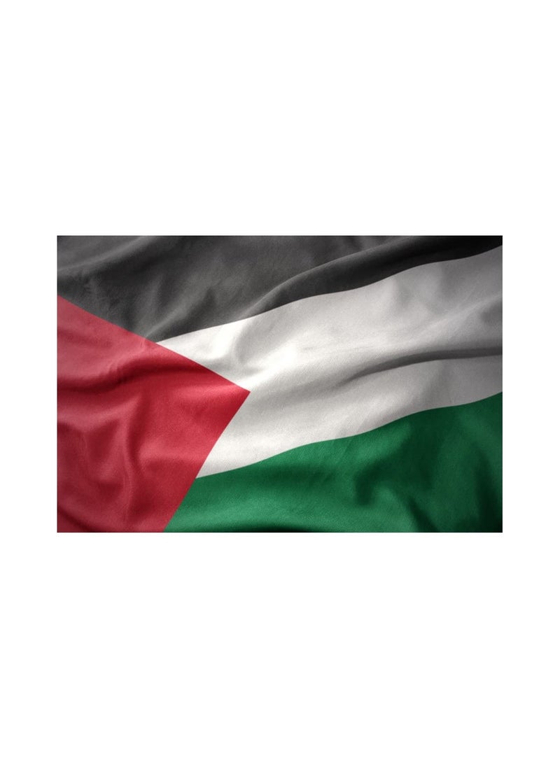 Romario AFC 2019 PALESTINE FLAG Vivid Color & UV Fade Resistant, Lightweight, Show support at sporting events size 96X64cm  - Image 3