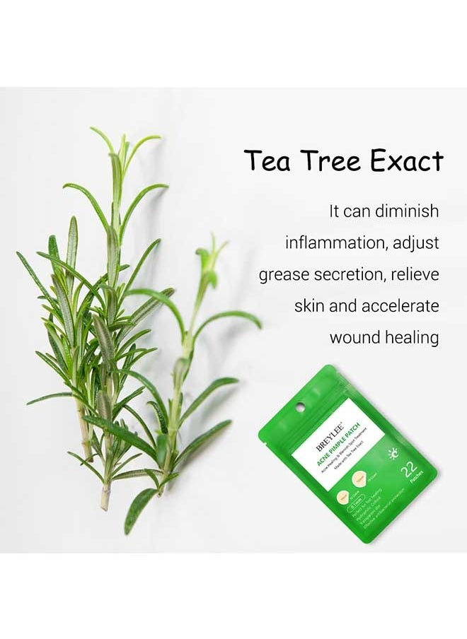 Breylee 22 Patches Acne Pimple Patch, Acne Healing Blemish Spot Treatmentmade with Tea Tree, Diminishinflammation, Adjustgrease Secretion, Relieveskin and Acceleratewound Healing, Suitable for All Skin Types  - Image 5