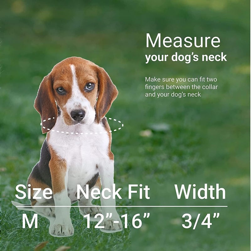 CollarDirect Nylon Dog Collar Aztec Geometric Pattern Aztec Sunset 14-18 inch - Image 4