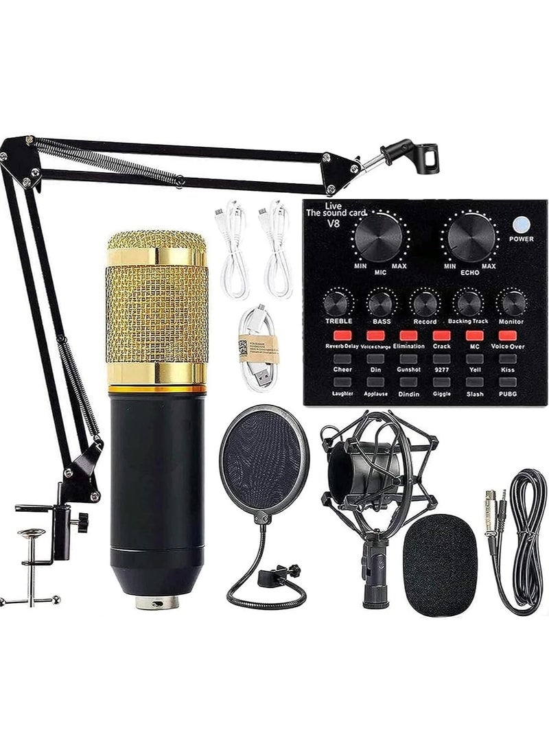Generic Professional Condenser Microphone Bundle Mic Kit with V8 Audio Sound Card And Metal Stand For Live Streaming Recording Broadcasting 