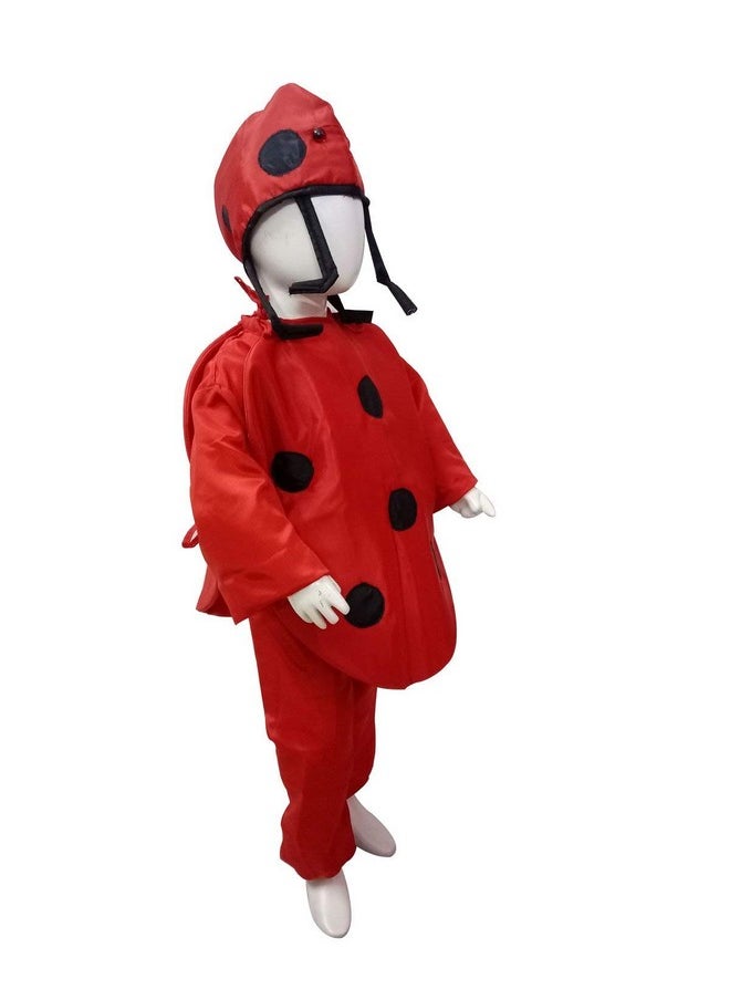 بوك ماي كوستيوم زي تنكري للأطفال من BookMyCostume بتصميم حشرات الدعسوقة، مناسب للأطفال من عمر 7 إلى 8 سنوات  - Image 2