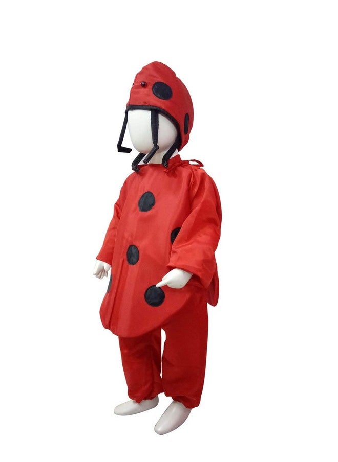 بوك ماي كوستيوم زي تنكري للأطفال من BookMyCostume بتصميم حشرات الدعسوقة، مناسب للأطفال من عمر 7 إلى 8 سنوات  - Image 4