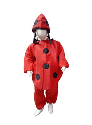 زي تنكري للأطفال من BookMyCostume بتصميم حشرات الدعسوقة، مناسب للأطفال من عمر 7 إلى 8 سنوات - pzsku/Z62354DC0AE354B5F7583Z/45/1743224533/ac335ee4-b4b2-47a2-8c4d-8a362eca67b9