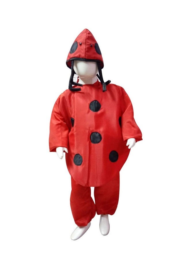 بوك ماي كوستيوم زي تنكري للأطفال من BookMyCostume بتصميم حشرات الدعسوقة، مناسب للأطفال من عمر 7 إلى 8 سنوات  - Image 1