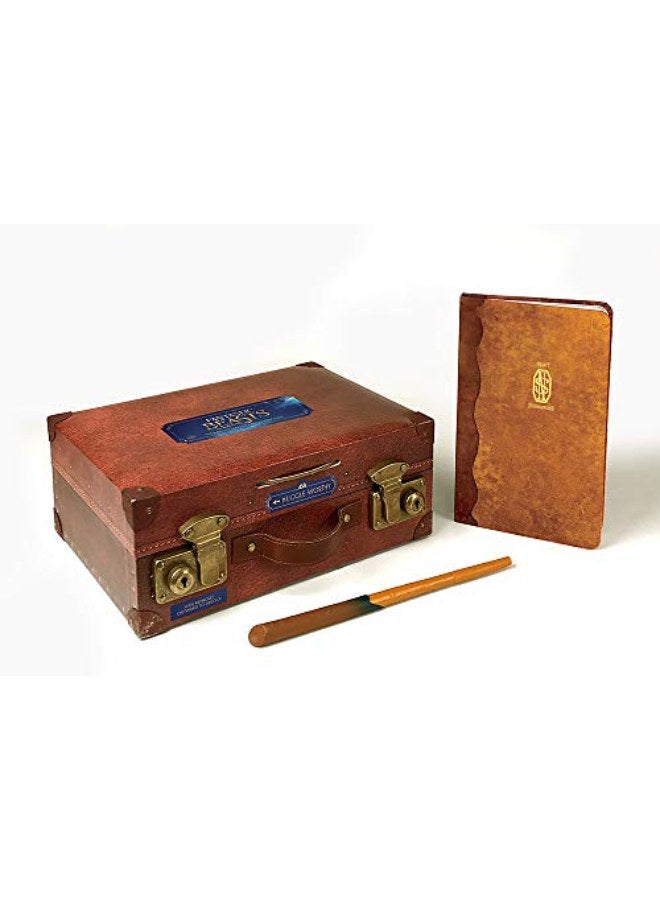 Fantastic Beasts: The Magizoologist's Discovery Case