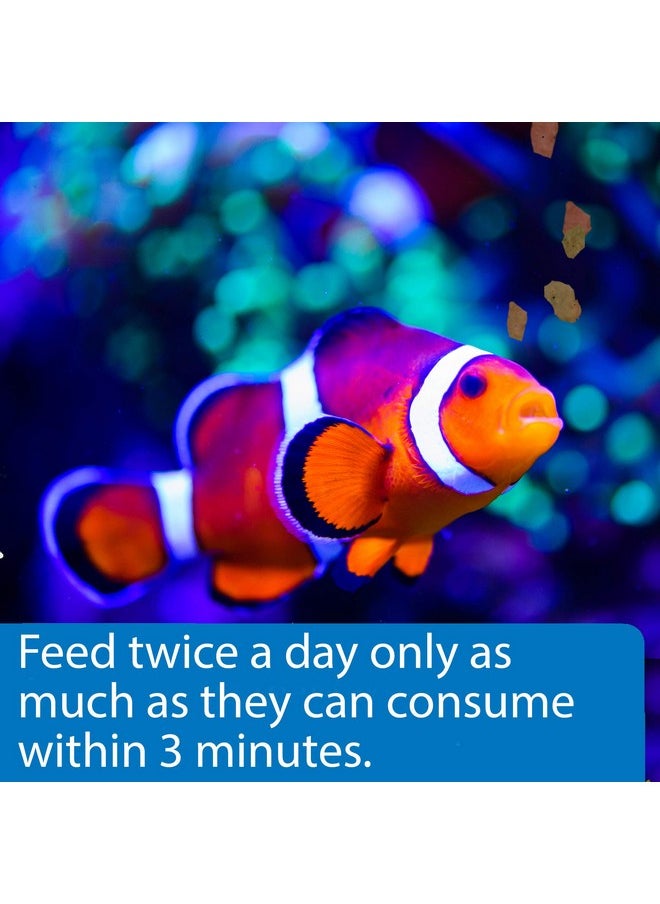 API API MARINE FLAKES Fish Food 2.1-Ounce Container  - Image 3
