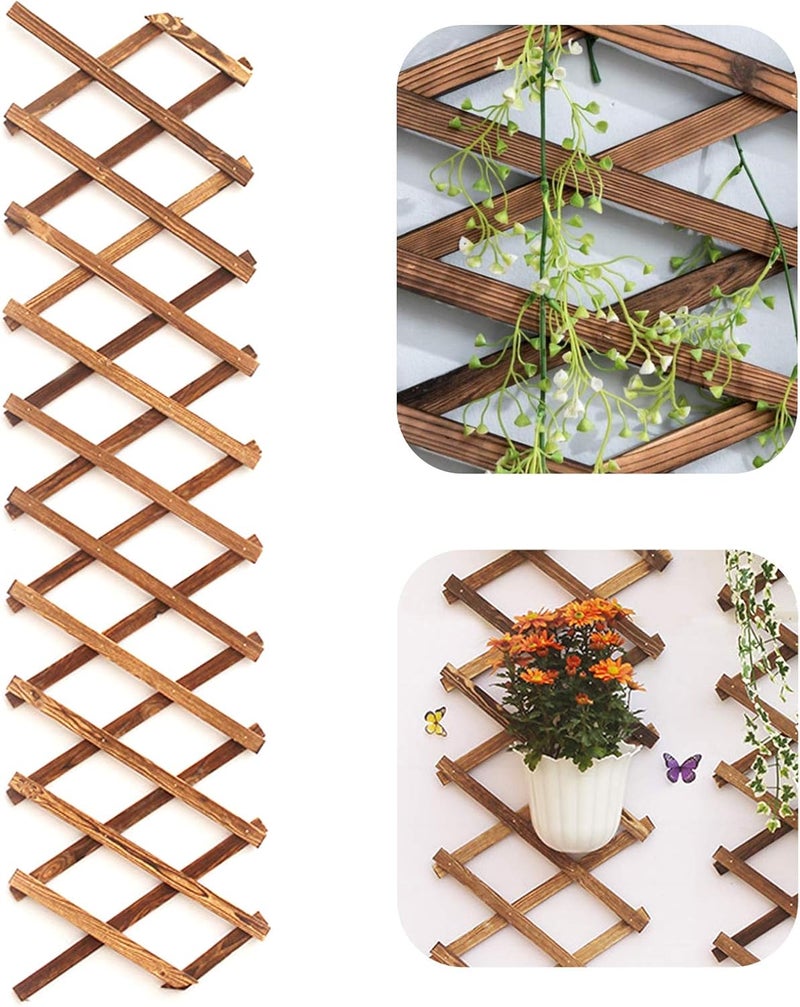 Iceyyyy Wood Lattice Wall Planter - Expandable Hanging Wooden Planter Trellis Frame, Indoor Air Plant Vertical Rack Wall Decor for Room Garden - Image 1