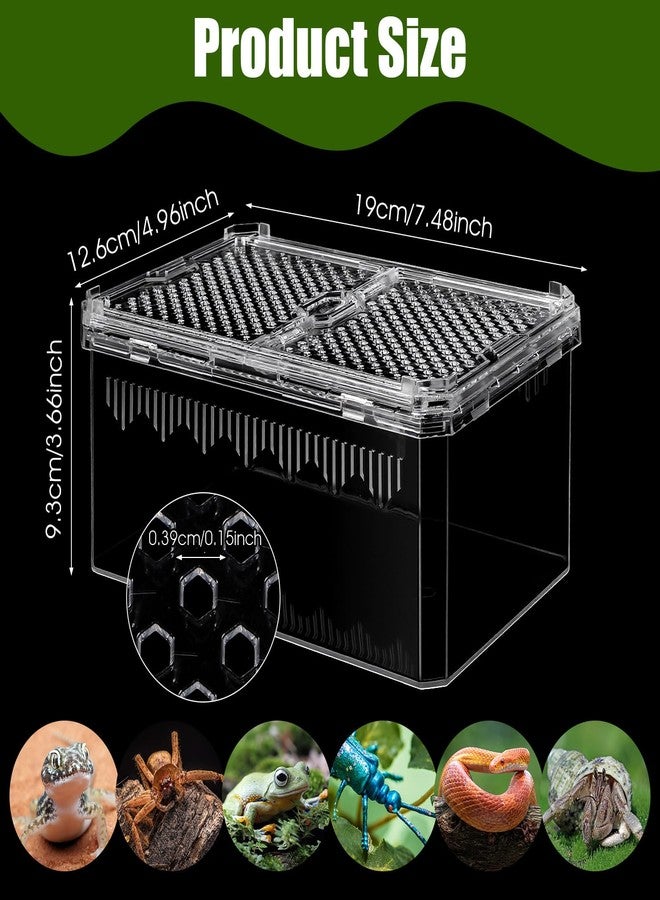 xozeooeu 2 Pack Reptile Terrarium Tank, High-Transparency PET Enclosure with Magnetic Door - No Assembly Breathable Habitat for Tarantula, Spider, Hermit Crab, Cricket, Gecko (7.5"x5"x3.7") - Image 2