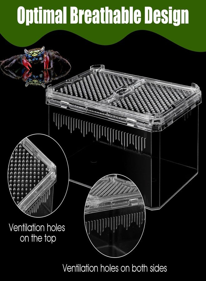 xozeooeu 2 Pack Reptile Terrarium Tank, High-Transparency PET Enclosure with Magnetic Door - No Assembly Breathable Habitat for Tarantula, Spider, Hermit Crab, Cricket, Gecko (7.5"x5"x3.7") - Image 4
