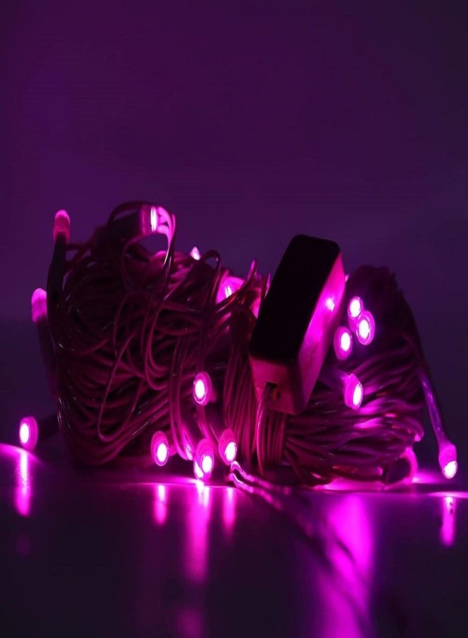 Litehom سلسلة إضاءة زينة مقاومة للماء من لايت هوم بطول 10 أمتار و36 مصباح LED على شكل أرز، مزودة بقابس كهربائي | للزينة الداخلية والخارجية، وإضاءة ديوالي لتزيين المنزل (4، وردي) - Image 3