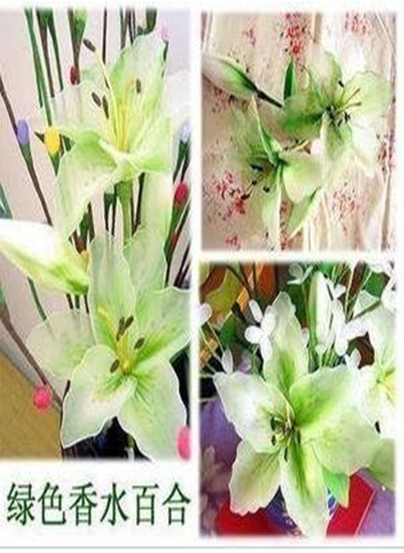 GGOOT - lilies lily Seed planted 100 pcs - (Color: 12) - Image 1