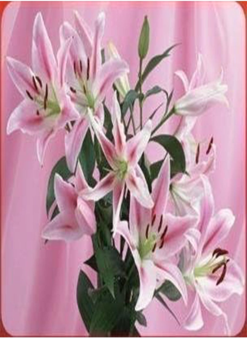 GGOOT - lilies lily Seed planted 100 pcs - (Color: 12) - Image 1