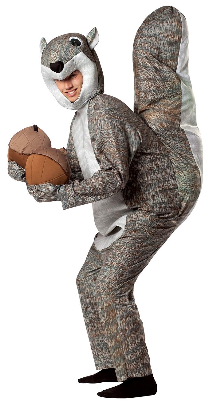 Rasta Imposta Squirrel Costume, Gray, One Size - Image 1