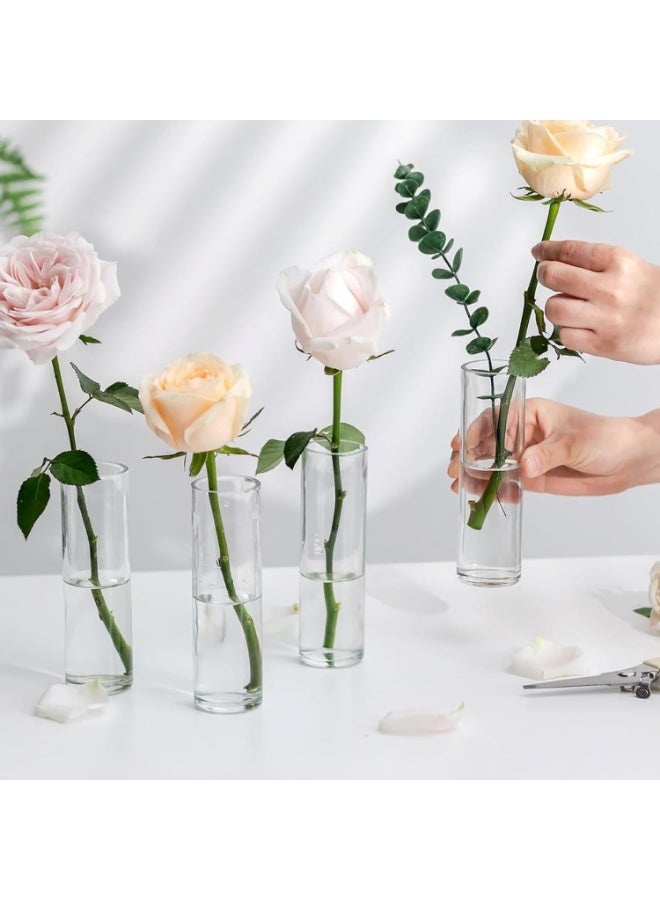 Mado Gallery Clear Cylinder Glass Vase (5×30 CM) – Tall Glass Vase for Flowers, Floating or Pillar Candles, Ideal for Home & Wedding Décor, Available in Box of 1PC, 3PCS, or 6PCS - Image 2