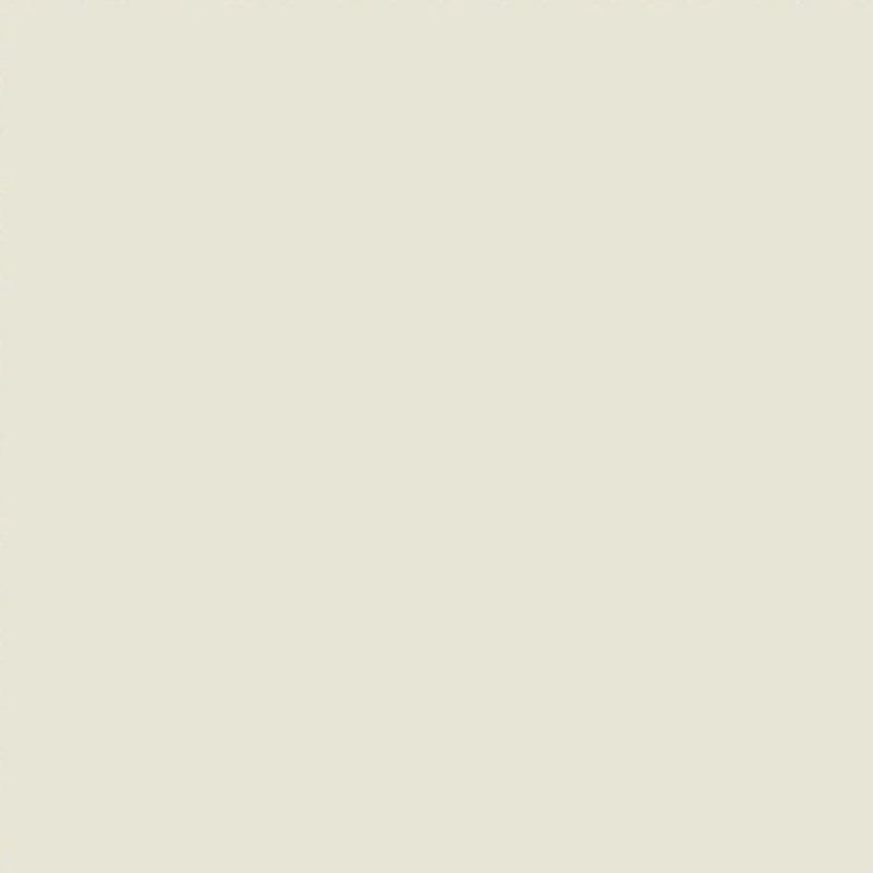 Jacob Alexander Solid Color Men's Regular Tie - Ivory Cream - Image 4