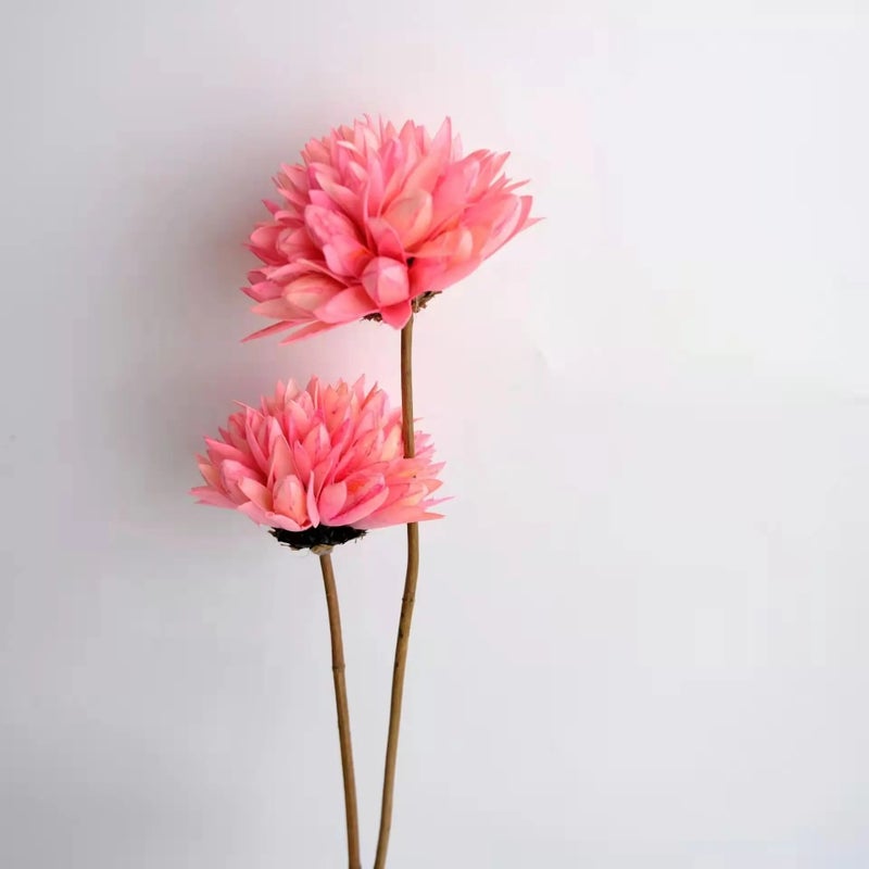 Bluejw High Quality Handmade Dried Magnolia Flowers – Natural Dried Plants for Elegant Bouquets & Home Decor - Image 1