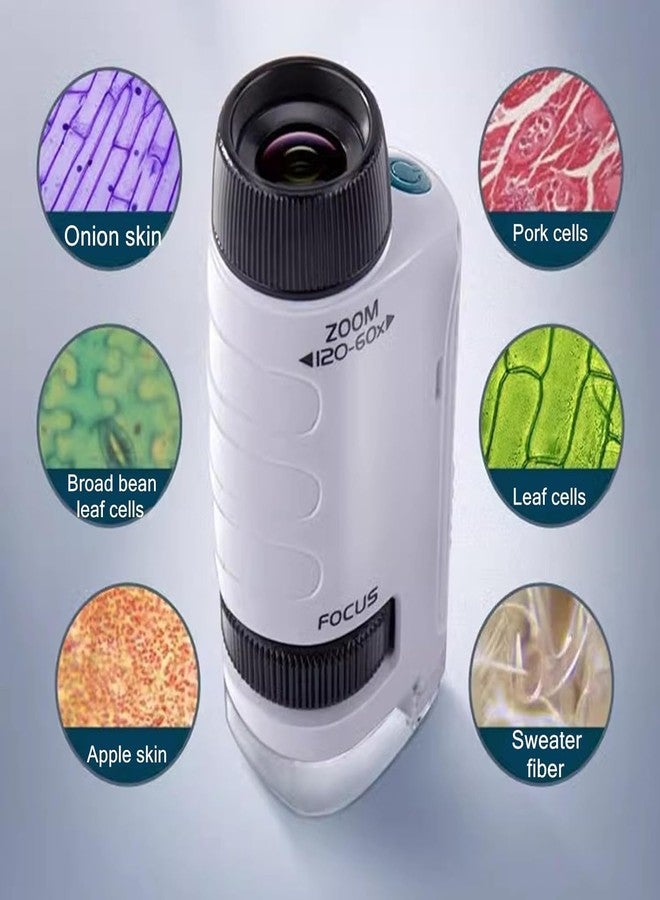 ETZIN Pocket Microscope for Kids, Portable Handheld Mini Toy with LED Light 60X-120X, Holiday Xmas Birthday Party Gift EPL-1459IM - Image 2