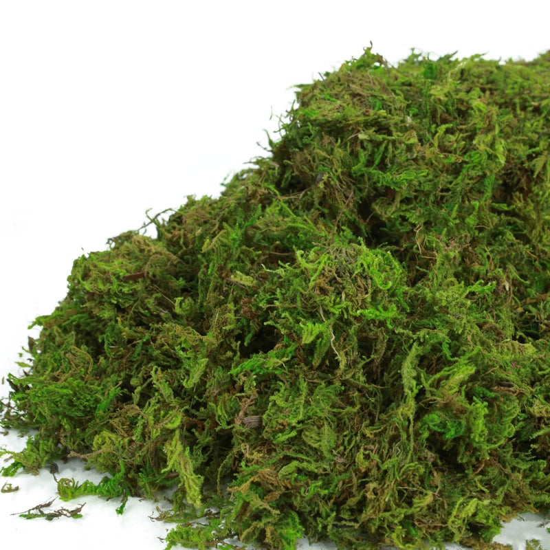 BYHER 35oz (2.18 Pounds) Green Artificial Moss for Indoor Crafts, Fairy Gardens, Table Centerpieces, Wedding Decor - Image 4