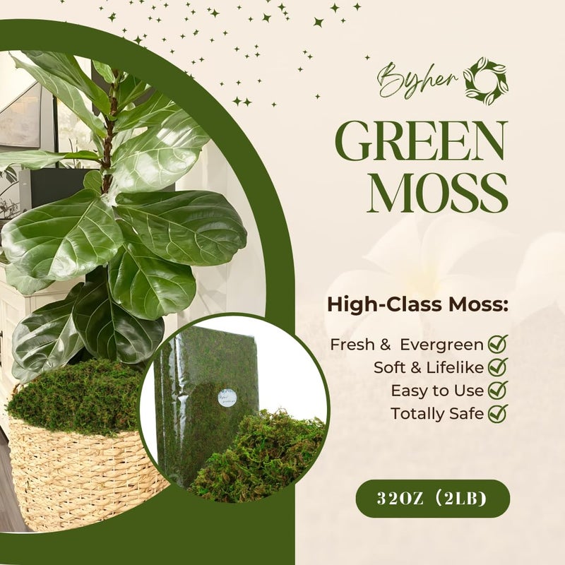 BYHER 35oz (2.18 Pounds) Green Artificial Moss for Indoor Crafts, Fairy Gardens, Table Centerpieces, Wedding Decor - Image 5