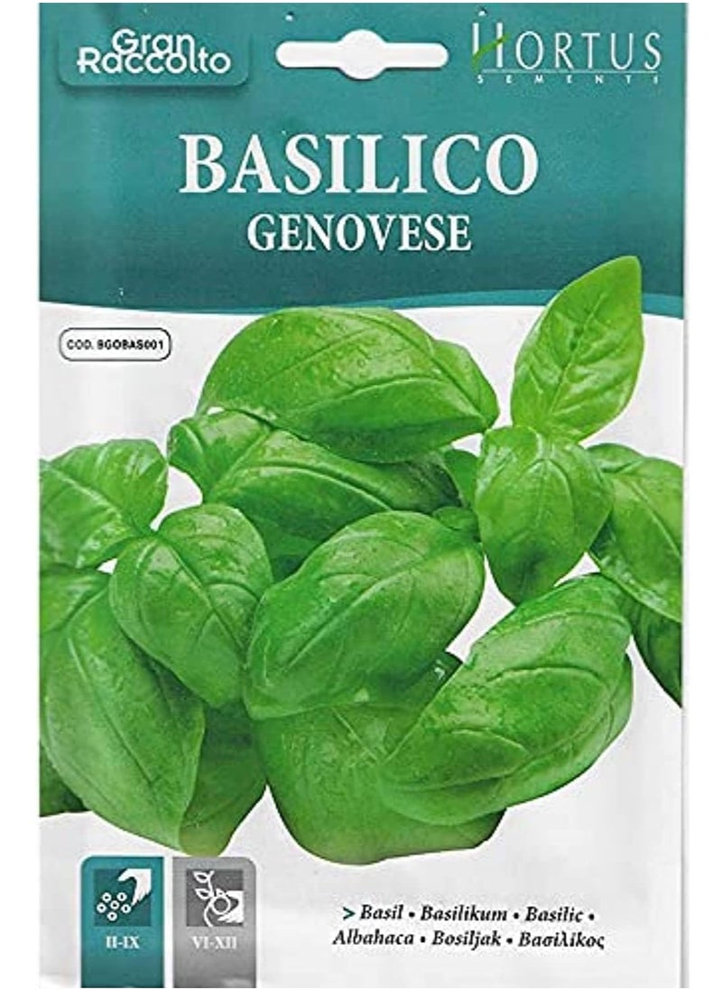 Hortus Basil Premium Quality Seeds (Basilico Genovese) (Made in Italy) by Hortus Sementi