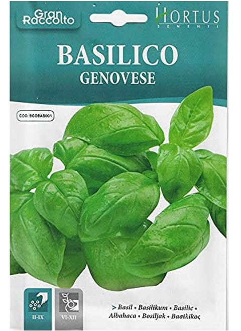 Hortus Basil Premium Quality Seeds (Basilico Genovese) (Made in Italy) by Hortus Sementi