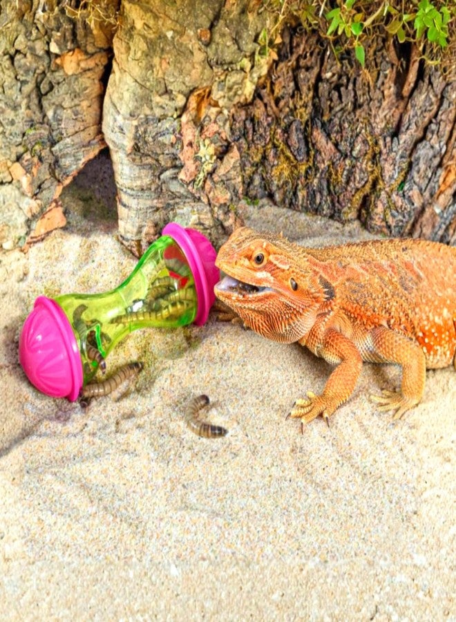 KFHENSOMR 2Pcs Bearded Dragon Toys for Tank Bearded Dragon Accessories - Treat Ball Interactive Toy Balls Tank Accessories Reptile Enrichment Toys for Lizard, Gecko, Hedgehog, Rabbits Small Animals - Image 3