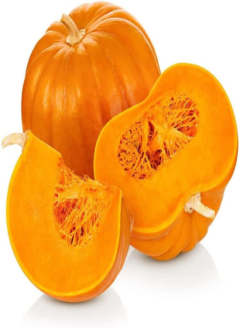 GGOOT 50pcs Pumpkin Seeds Natural Entry Level Vegetables Easy to Cultivate DIY Garden Craft Art Decoration Planting in Pieces Form Landscape - Image 1