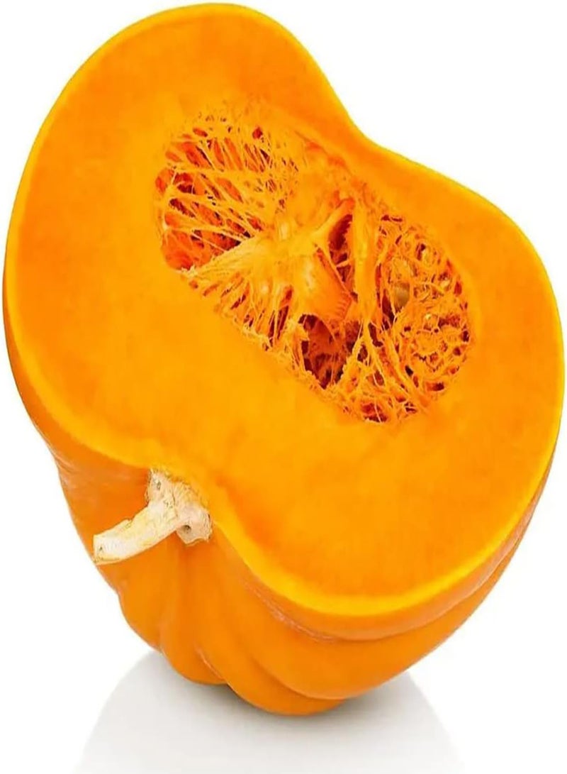 GGOOT 50pcs Pumpkin Seeds Natural Entry Level Vegetables Easy to Cultivate DIY Garden Craft Art Decoration Planting in Pieces Form Landscape - Image 2