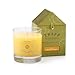 Trapp 7ounce Poured Candle, No. 4, Orange Vanilla - Image 2