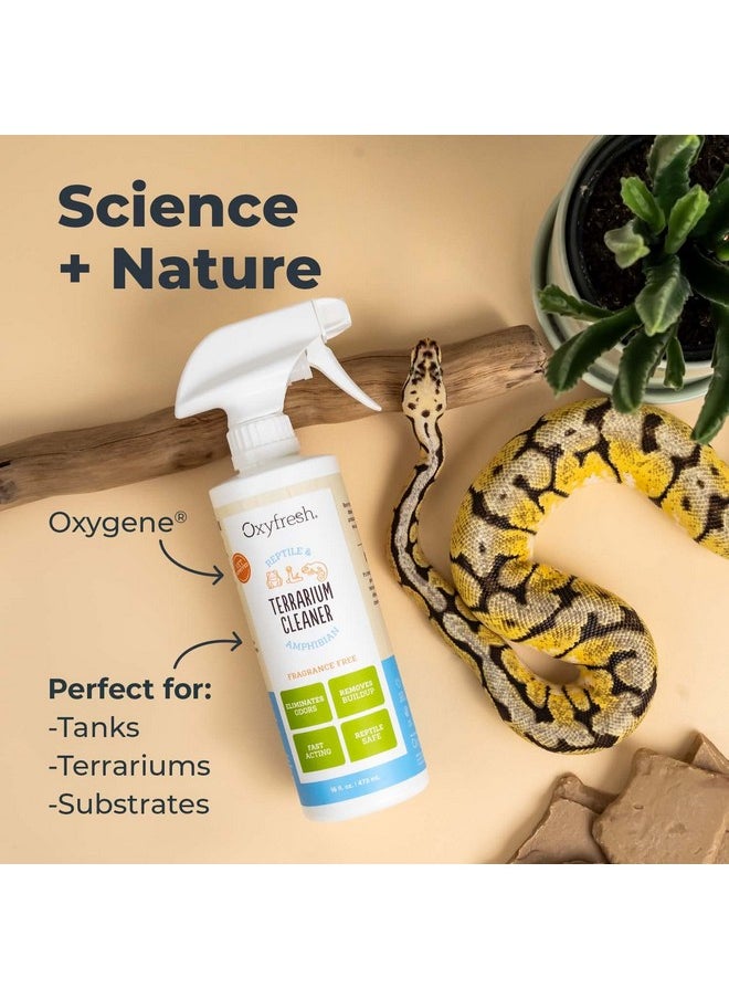 Oxyfresh Premium Terrarium Cleaner  Professional Amphibian & Reptile Terrarium Smell Eliminator  Safe & Quickly Removes Waste & Odors  Streak Free Glass  Bleach Free  - Image 3