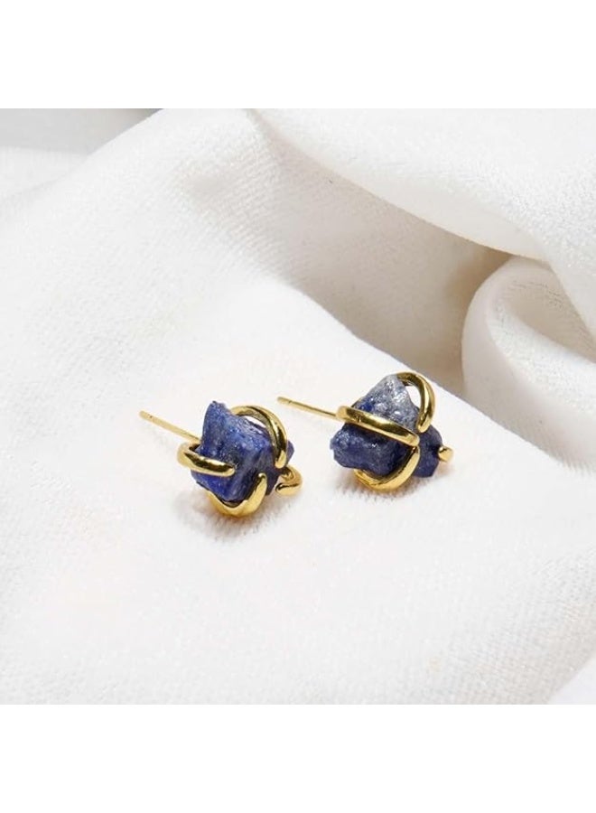 Studd Muffyn | Lapis Lazuli Spider Studs - Image 4