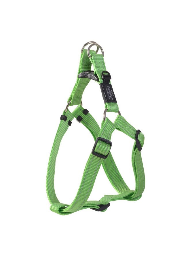 Rogz Reflective Adjustable Dog Step in Harness for Large Dogs; matching collar and leash available, Green - Image 4