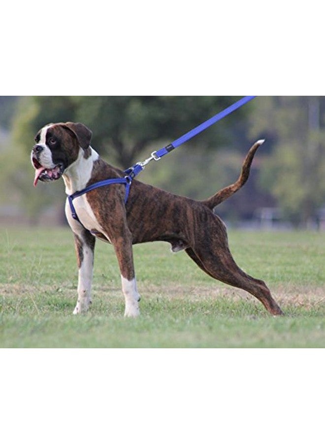 Rogz Reflective Adjustable Dog Step in Harness for Large Dogs; matching collar and leash available, Green - Image 2