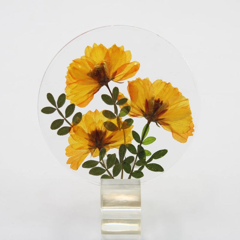 Y&D New Design DIY Real Flower Resin Coasters – Heat-Insulating Cup Mats for Tea Cups, Home & Dining Table Decor - Image 1