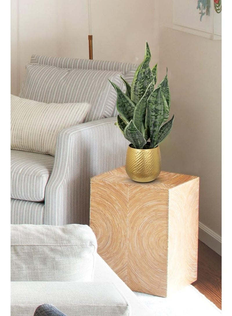 LATIFA  Artificial Snake Plant in Gold Pot, 18” Faux Sansevieria Potted Plant for Home - Image 2