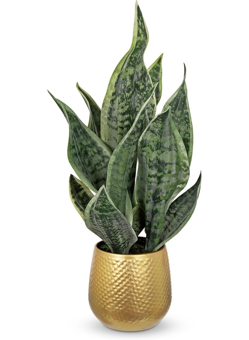 LATIFA  Artificial Snake Plant in Gold Pot, 18” Faux Sansevieria Potted Plant for Home - Image 1