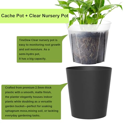 TineDew 3 Pack of 6in Plastic Cachepot with 6 inch Clear nusery Pot self Watering Indoor Planter with Drainage for Root Visibilitysemi Hydro pots for repotting OrchidsAroid or MonsteraBlack - Image 3