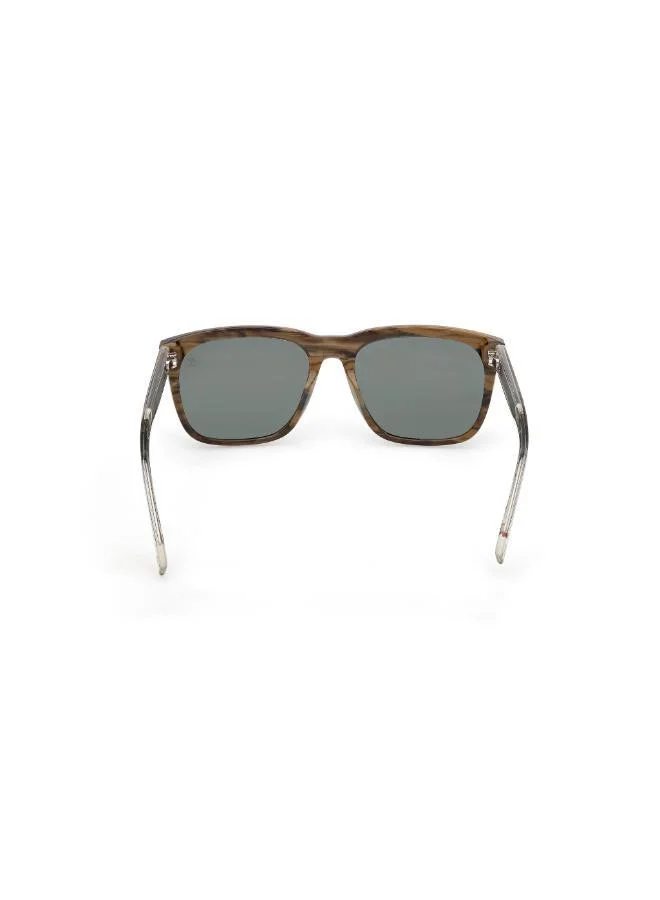 تمبرلاند wayfarers sunglasses