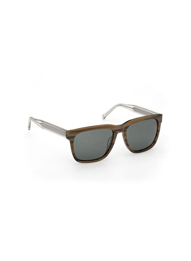 Timberland  wayfarers sunglasses for Men | Best Price UAE