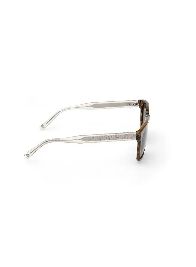 Timberland  wayfarers sunglasses for Men | Best Price UAE