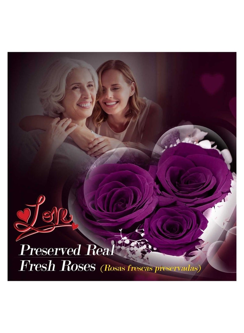 Generic Preserved Purple Rose Moss Bear Gifts Set with I Love You 100 Languages Necklace for Women Mom Wife Girlfriend  - Image 3