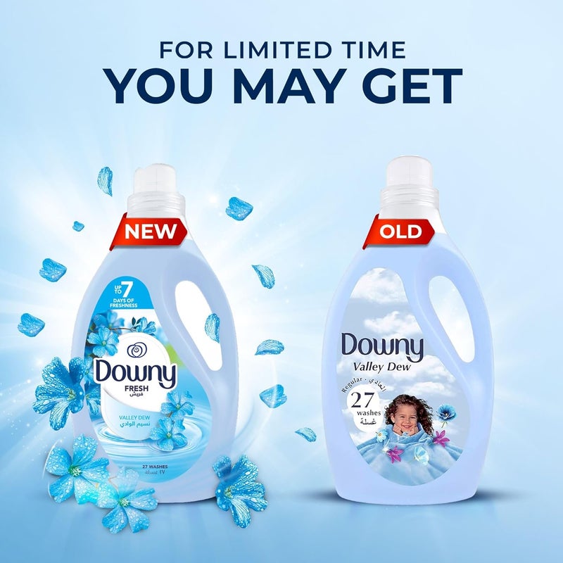 Downy Regular Fabric Softener Valley Dew 3L - Image 3