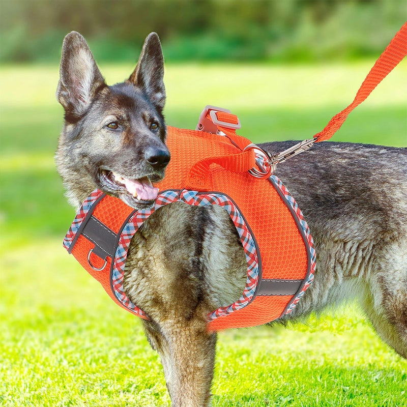 1 Set of Adjustable Pet Dog and Leash Outdoor Pet Training Leash (S) - Image 5