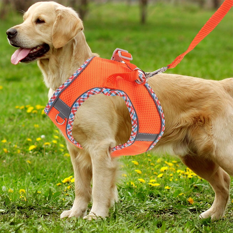 1 Set of Adjustable Pet Dog and Leash Outdoor Pet Training Leash (S) - Image 3
