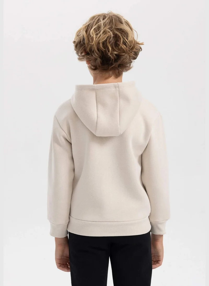 DeFacto Boy Hooded Long Sleeve Knitted Sweatshirt
