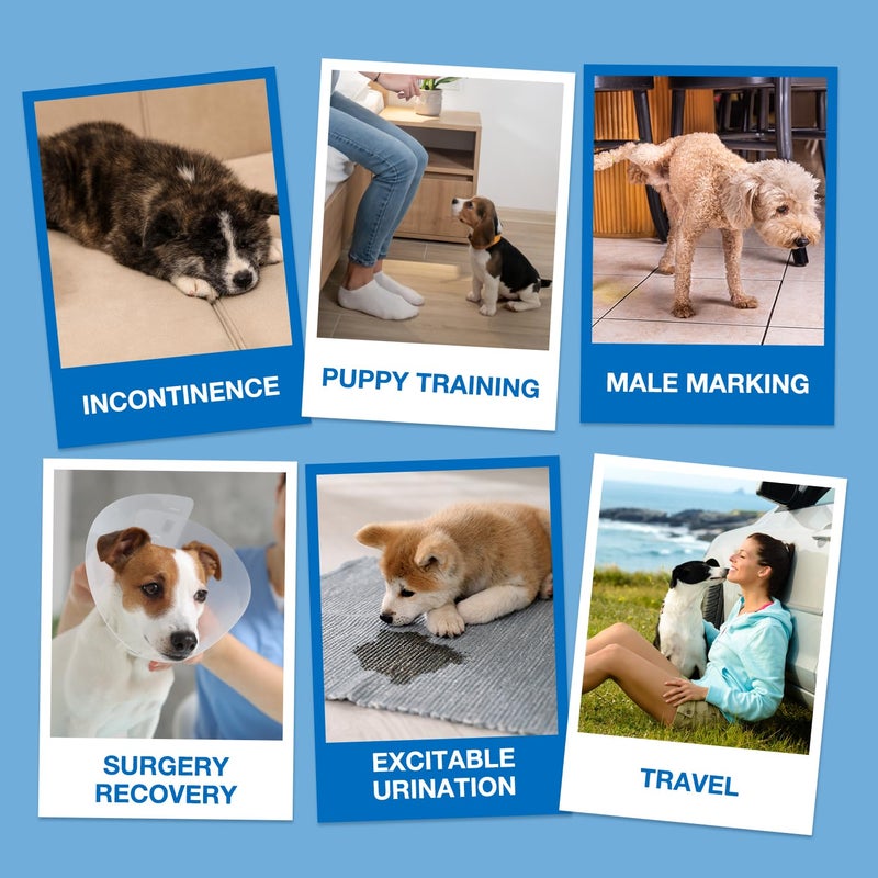 Dono Dog Diapers Male, Disposable Male Dog Wraps 40ct with Wetness Indicator, Leak-Proof Dog Belly Wraps, Rapid-Dry Gel Technology Doggie Puppy Diapers for Excitable Urination Incontinence, Small - Image 4